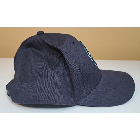 Asheville Tourists Minor League Baseball Adjustable Hat Cap Youth Size Mr. Moon - Picture 5 of 9